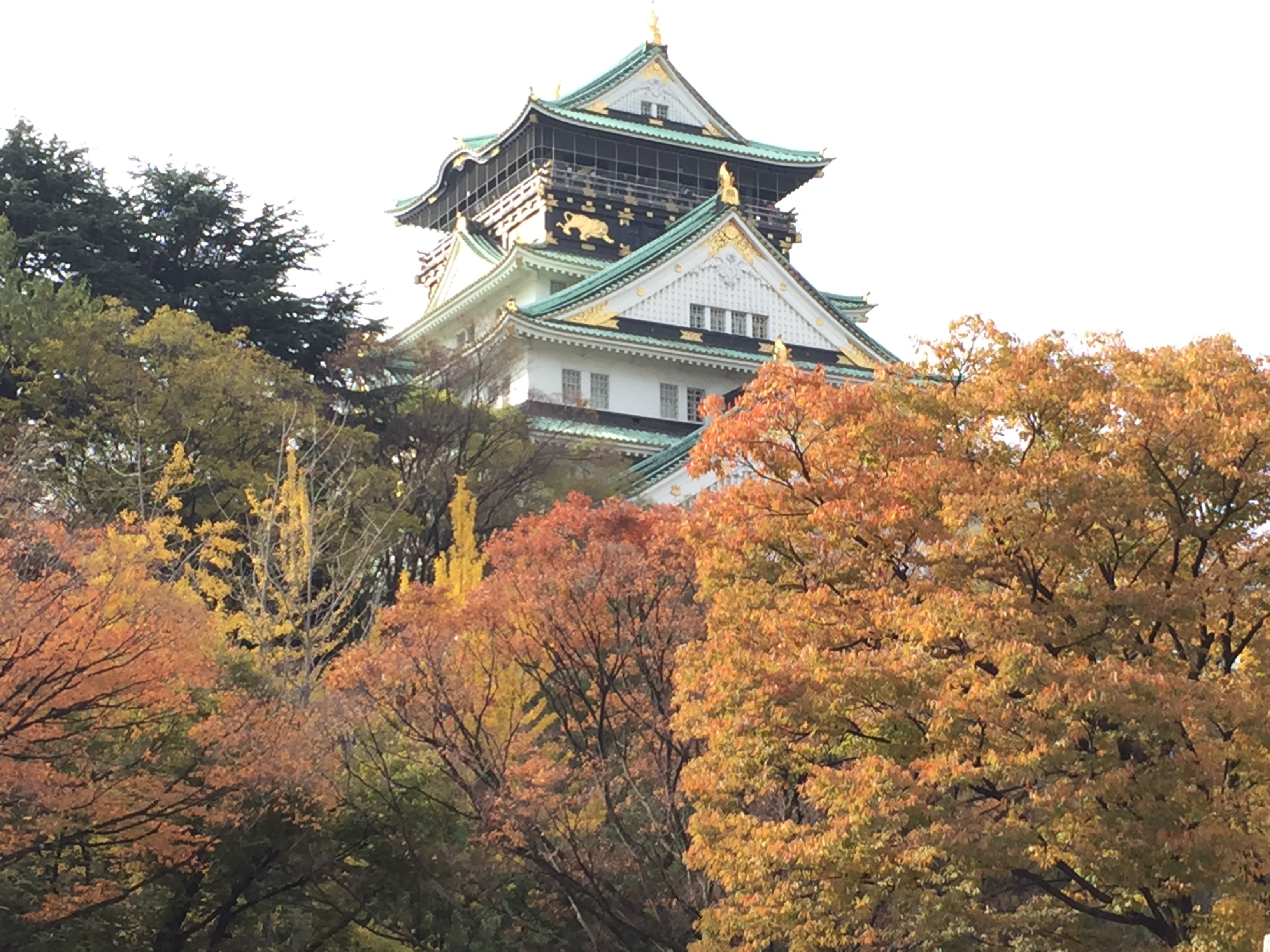 セローでお散歩 大阪の秋